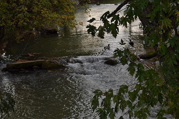 水流动小瀑布斯威特沃特溪鸭公园斯威特沃特