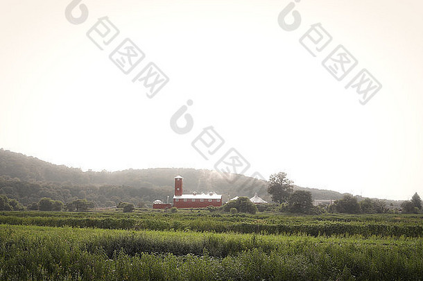 大雾弥漫的农田景观中的红色谷仓