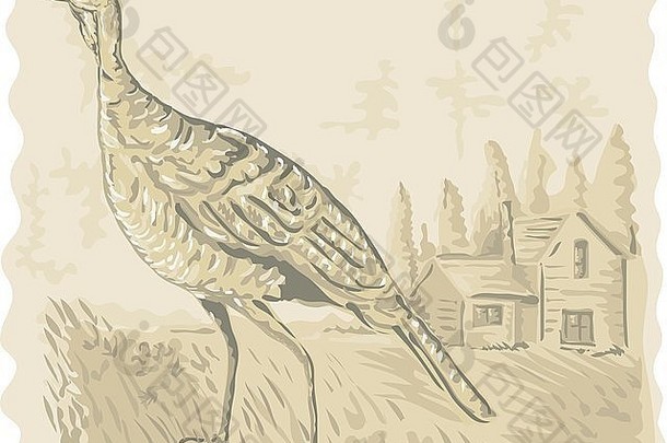 以水彩画为背景的野生火鸡和房屋的插图
