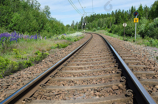 夏季曲线中铁路轨道的低角度图像