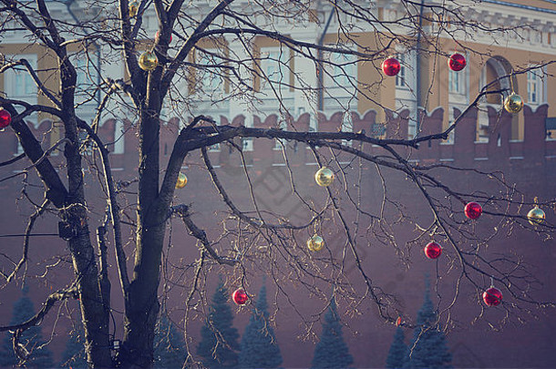 明亮的彩色的圣诞节装饰落叶的树莫斯科俄罗斯