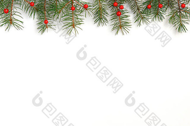 圣诞背景，白色木质背景，圣诞树和红色浆果。圣诞快乐贺卡、相框、横幅。寒假主题。