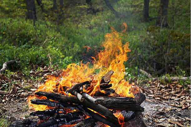 篝火前景特写镜头背景绿色森林俄罗斯符拉迪沃斯托克