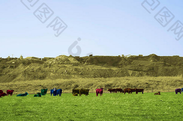 菲利普岛农业区的彩色农场生活，使用Adobe Photoshop实现分层效果