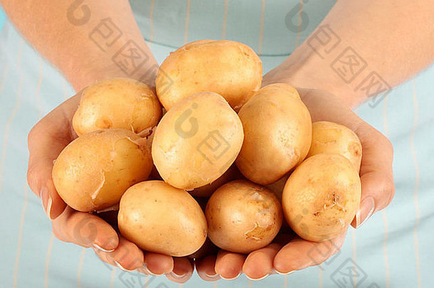 女人持有土豆