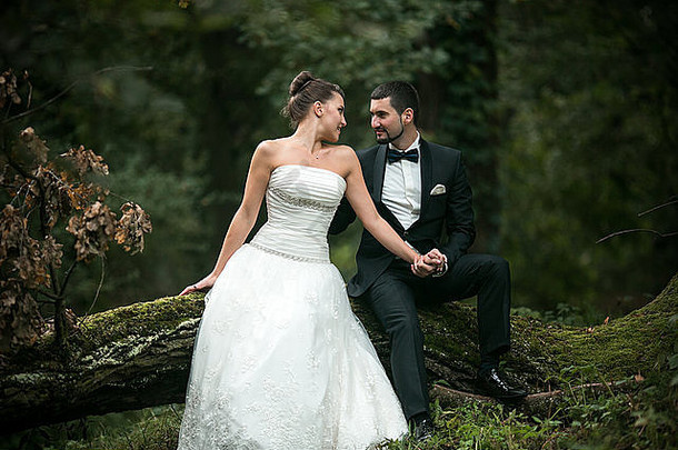 美丽的婚礼夫妇坐着森林