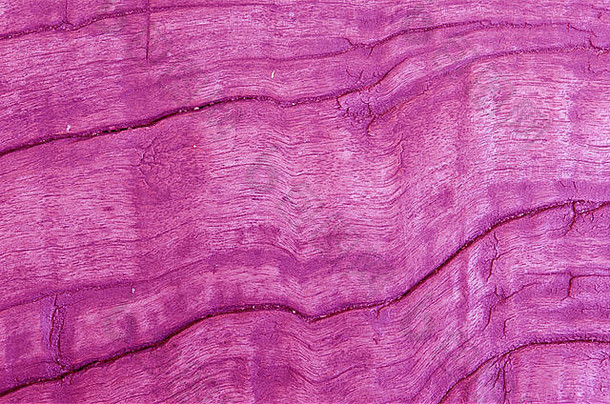 特写旧木背景，粉红色木材纹理
