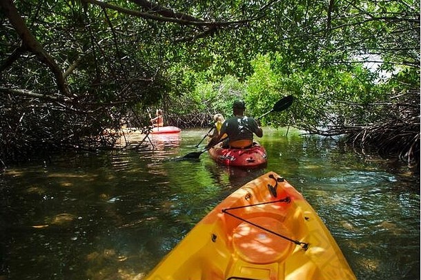 一群游客在加勒比海博内尔的Lac Bai红树林保护区出发，进行有导游的皮艇之旅