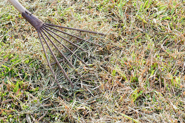 木棍上的旧金属耙子，收集草屑和园艺工具。