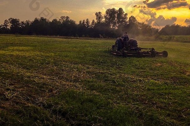 剪向日葵-傍晚阳光下拖拉机割草场上的男人-北卡罗来纳州