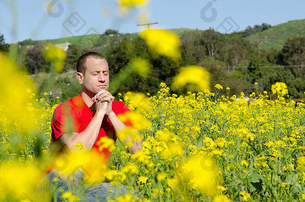 藏在黄花丛中祈祷的人