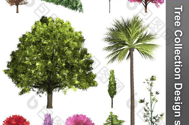 树修正设计集。。三维插图。白色背景隔离。自然与园林设计。
