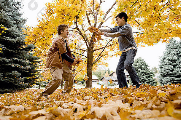 男孩玩扔秋天叶子空气