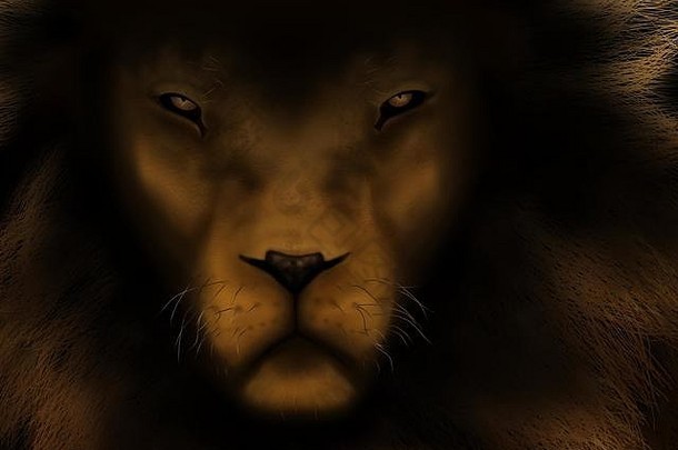 黑暗中雄狮的插图