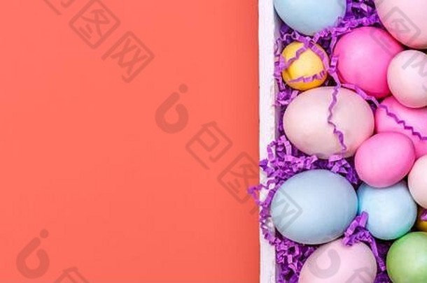 白色托盘中的彩色鸡蛋。创意复活节概念。现代纯色粉红色背景。横幅格式。活珊瑚主题-2019年度色彩