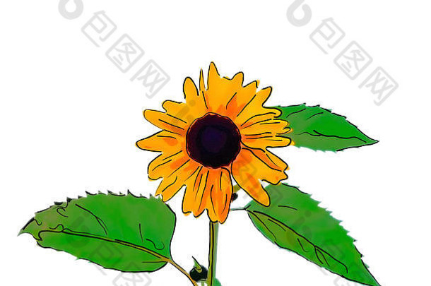 黄色向日葵的插图，中间有一个黑色圆圈，白色背景上有绿色的茎和叶