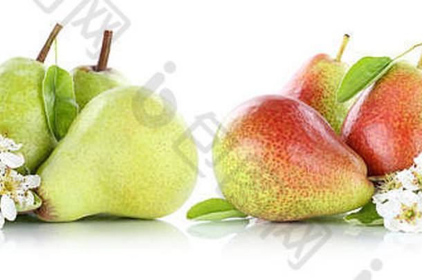 集梨梨片新鲜的水果水果孤立的白色背景