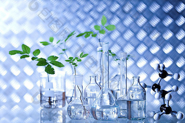 化学<strong>实验</strong>室玻璃器皿设备，生态学