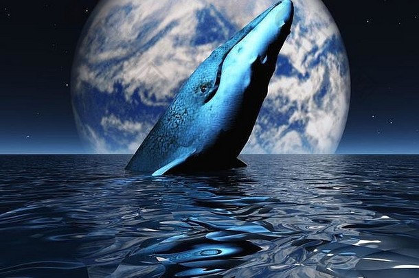 海洋中的鲸鱼