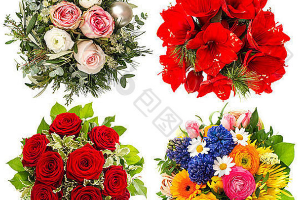 四朵五颜六色的花束。白色背景上分离的玫瑰、石蒜、郁金香