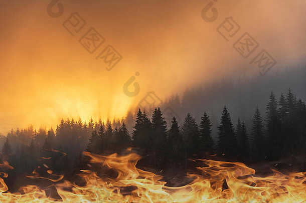 概念上的图片<strong>森林</strong>火红色的橙色颜色云黑暗烟松站火焰前景