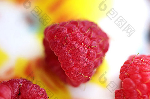 美丽的树莓令人惊异的颜色好光