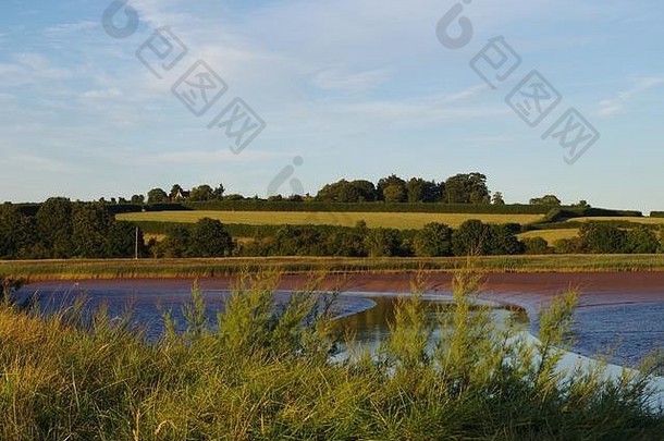 在一个平静的夏夜，平静的曲线河流在低潮时灌肠，背景是德文郡的农田。托普沙姆，埃克塞特，英国。