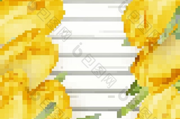 黄色郁金香。EPS 10