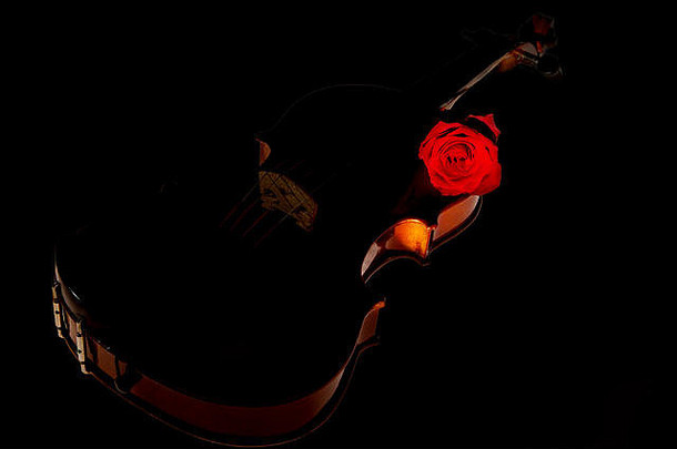 小提琴红色的玫瑰