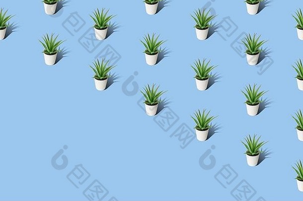 白色花盆中绿色小植物的图案纹理室内设计摘要。
