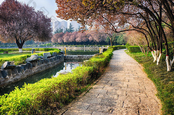 中国陕西省西安市辛集环公园的春天早晨
