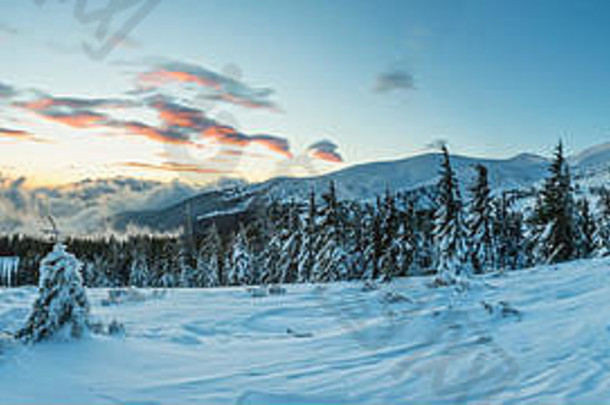 日出冬季山脉全景图，山坡上有云朵和冷杉树（喀尔巴阡山脉）。