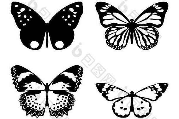 插图集蝴蝶轮廓孤立的白色背景