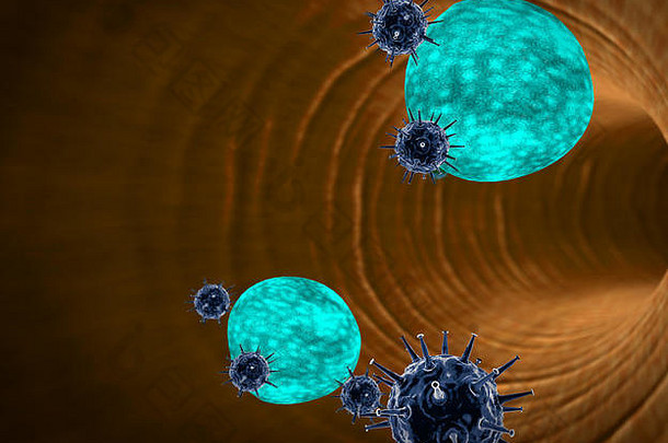 插图人类免疫系统攻击病毒巨噬<strong>细胞脂肪细胞</strong>内部血船白色血<strong>细胞</strong>内部血船