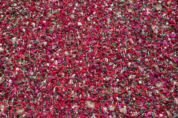由1000朵花组成的美丽无比的墙