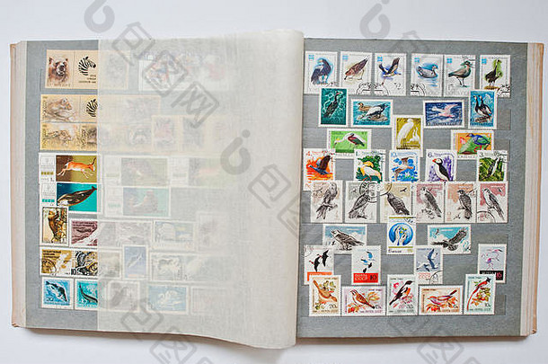 从苏联印刷的集邮册中收集邮票