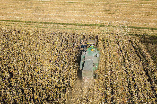 结合收割机挑选种子字段空中视图场结合收割机剥玉米皮收集作物玉米脱粒