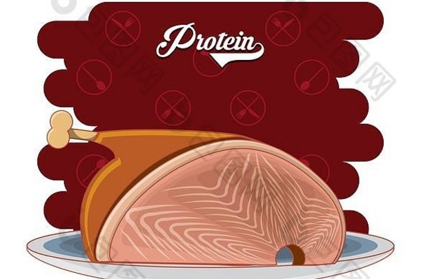 蛋白质饮食健康食品载体插图设计