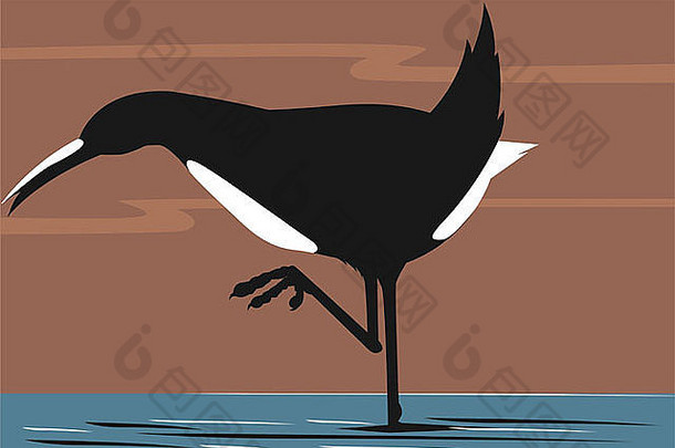 一只鸟坐在水面上的插图