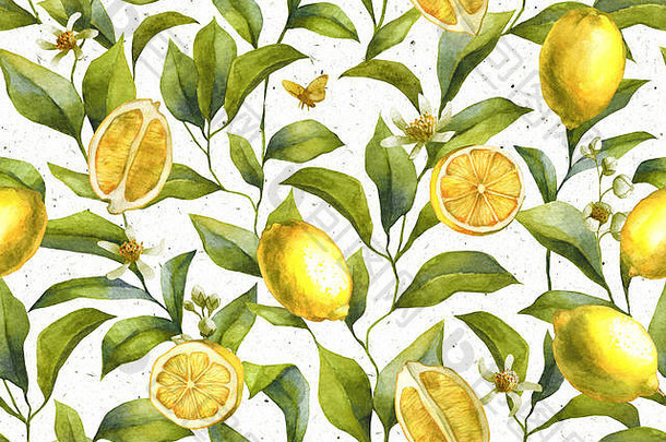 柑橘类水果。柠檬色背景。花卉壁纸。
