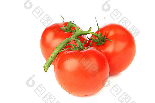 西红柿孤立的白色