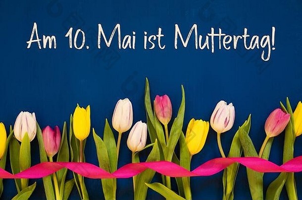 彩色郁金香，Muttertag表示母亲节，丝带，蓝色背景