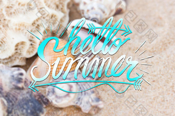 各种海贝壳沙子夏天概念