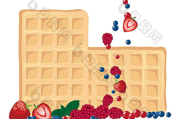 插图新鲜的华夫饼各种夏天水果暴跌孤立的白色背景