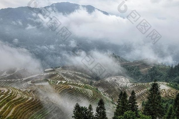 中国广西<strong>壮族</strong>自治区被水淹没的梯田被大雾笼罩。