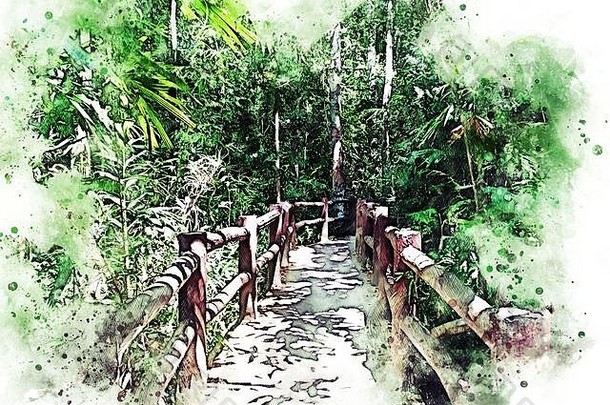 摘要色彩斑斓的绿色形状分支树森林水彩插图绘画背景