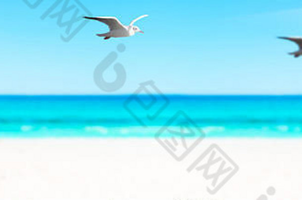 波罗的海的沙滩椅和海鸥