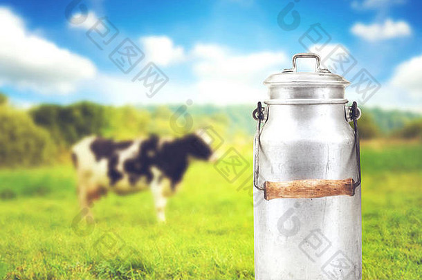 旧铝牛奶罐对着奶牛牧场
