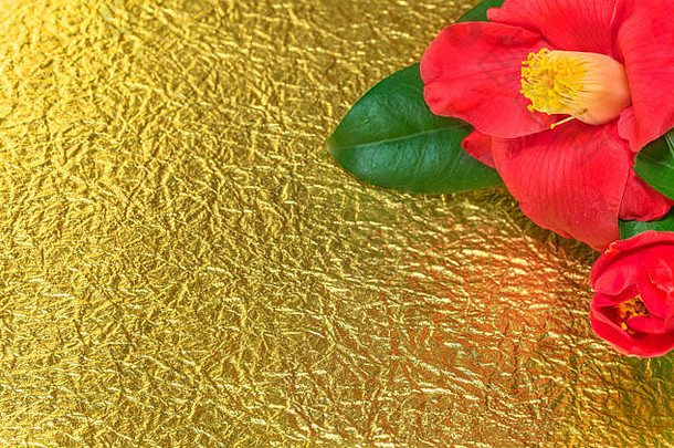 日本的一张贺卡上有一朵Tsubaki花，也被称为冬季玫瑰，背景是金色皱折的纸。