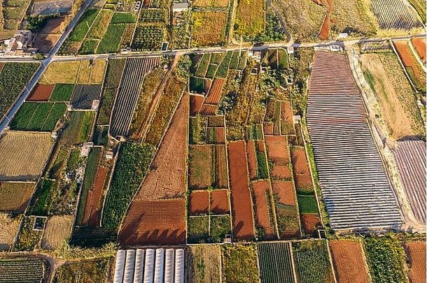 农业概念农场字段温室植物蔬菜空中前视图